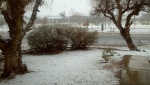 Tucson snow